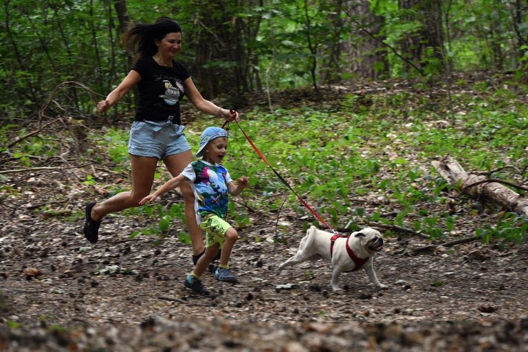Mother and child running with their dog in the woods